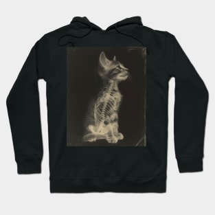 CAT Scan Hoodie